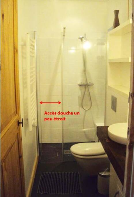 Salle d'eau + WC