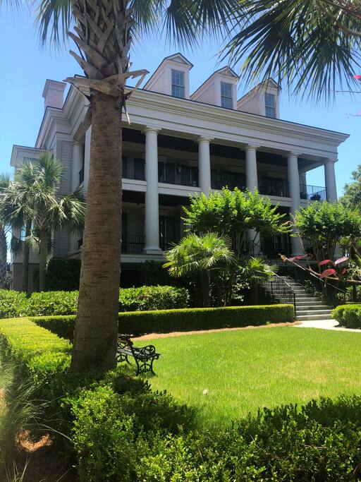 Driveway View