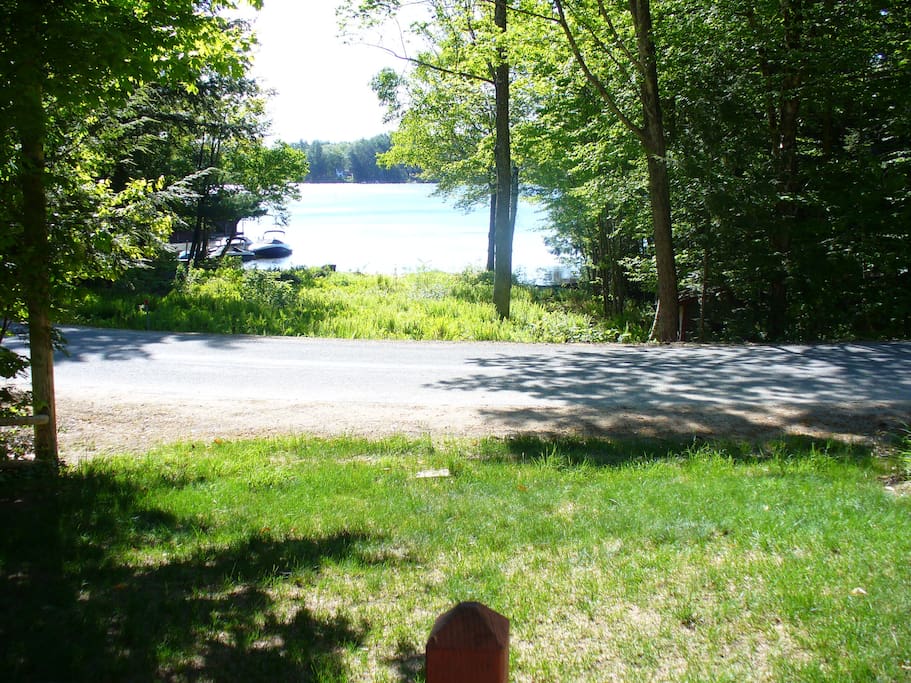View from Cottage