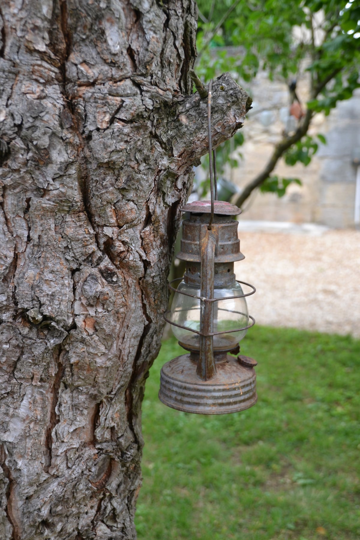 An antique lantern is affixed to the rough bark of a tree, showcasing its rustic metal design. The lantern hangs beside a grassy area, with a gravel pathway visible in the background, providing a serene garden ambiance.