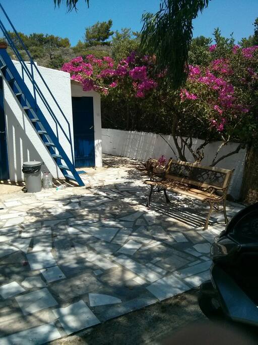 Catch the sun under the arms of our lovely bougainvillea