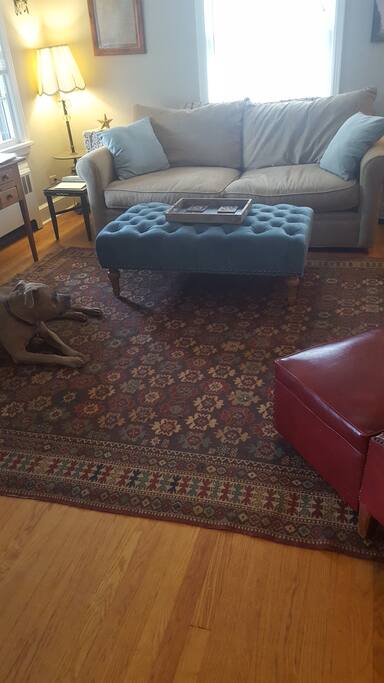 Living room (dog not included!)