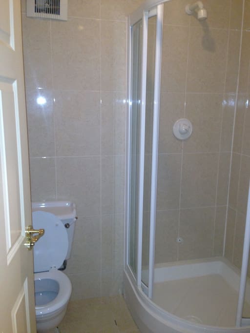Toilet with shower