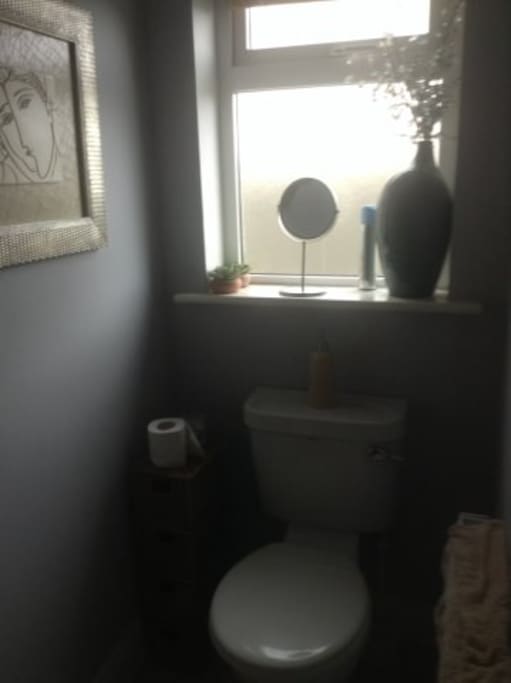 Private ensuit with electric shower, toilet and wash basin.
