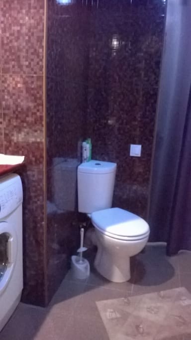 Bathroom is clean and modern, and has washing machine