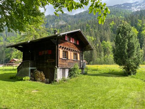 Cosy chalet in a wonderful green landscape