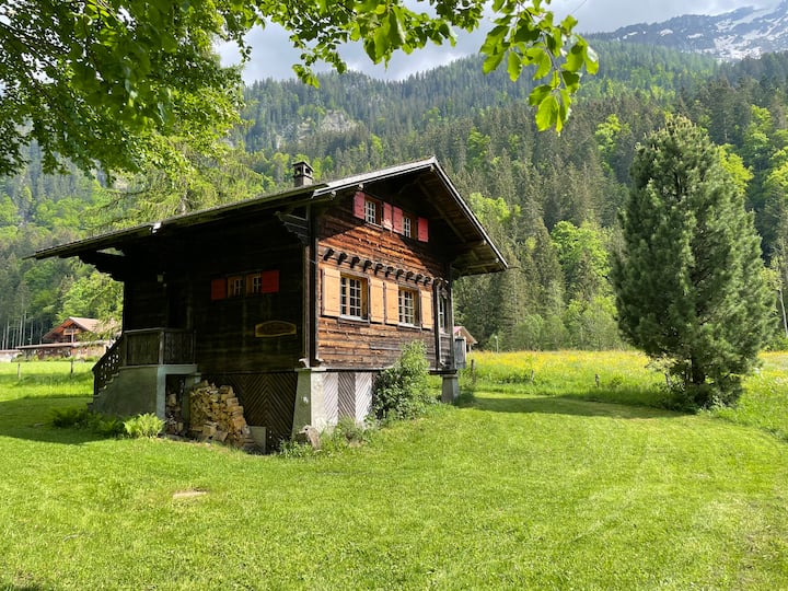 Cosy chalet in a wonderful green landscape