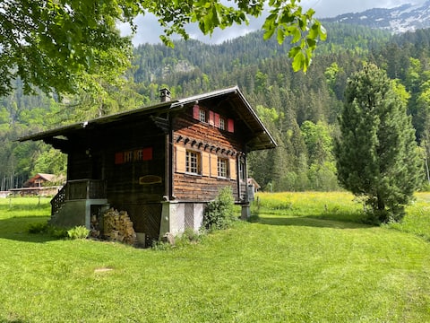 Cosy chalet in a wonderful green landscape