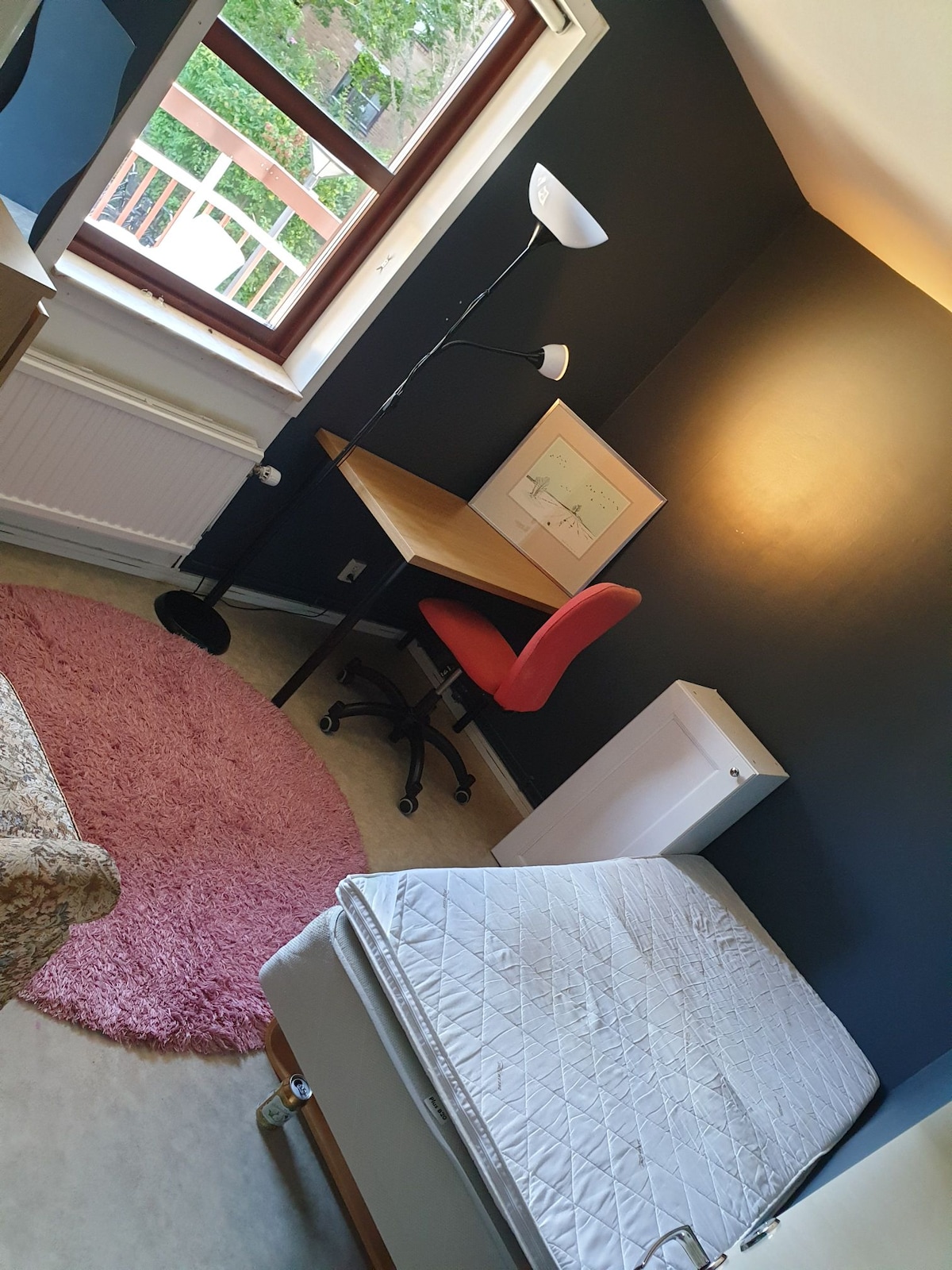 A compact room features a double window allowing natural light to fill the space. A smooth wooden desk sits next to a red chair, while a cozy area rug adds softness beneath. A wooden bed frame, without bedding, is positioned alongside a modern floor lamp.