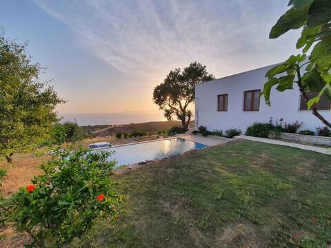 Peaceful Village House
organic garden & pool