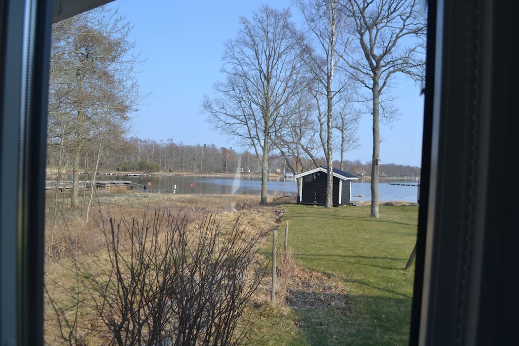 utsikt från stugan