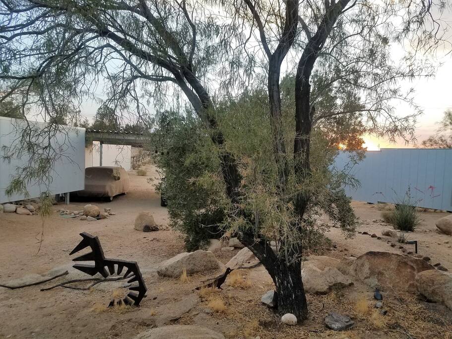 Early evening at the CoyoteHole guest studio and main house, carport and front landscape
