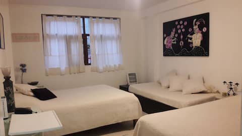 Cozy Latin House in Miraflores, close to the Ocean