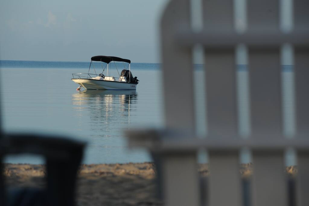 13' Boston Whaler is included