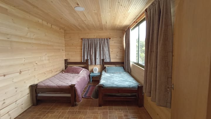Habitación 1
