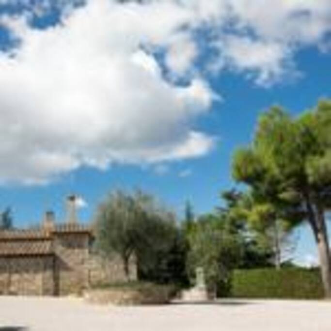 Welcome To San Filippo
