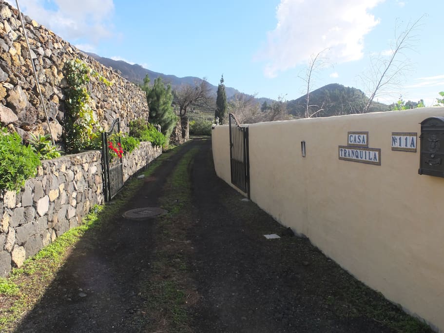 The driveway