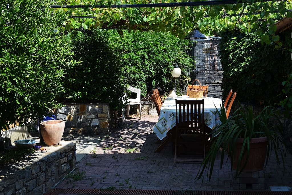 Giardino - Garden