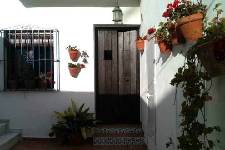 Orange studio in Andalusian courtyard