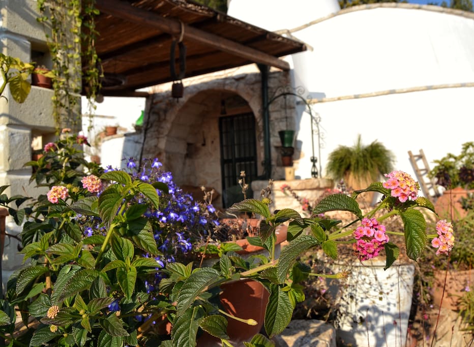 Bellissimo giardino con veranda
