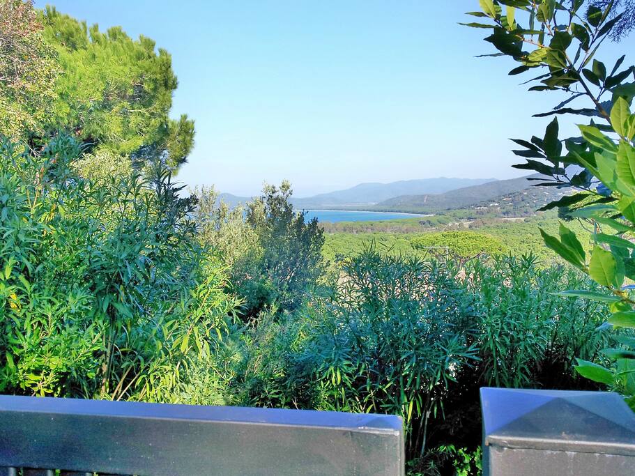 View from the gate
