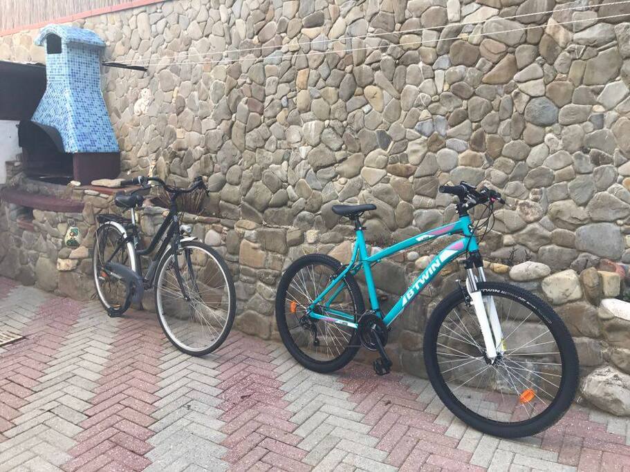 Le Bici a Vs. disposizione.