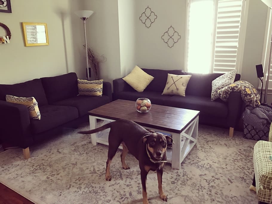 Living room upstairs with lots of natural light. (Dog not included)
