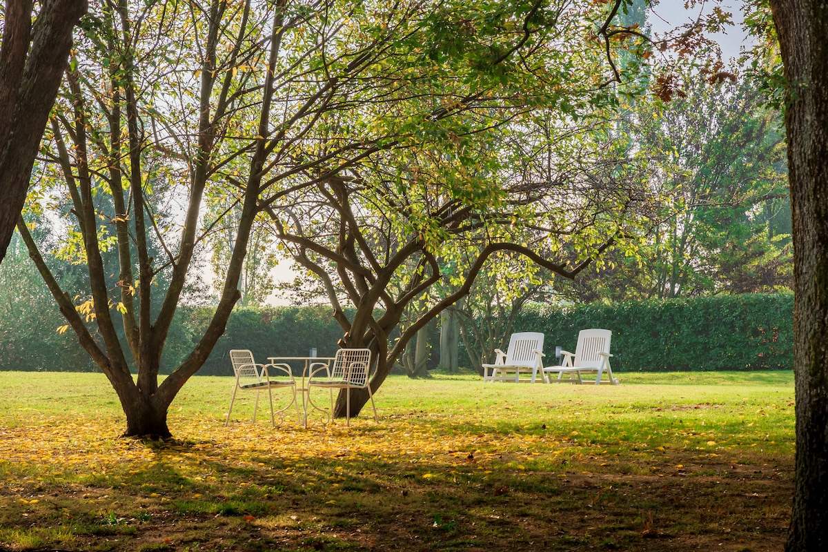 A serene outdoor space is surrounded by tall trees, casting dappled light on a grassy area. Two white lounge chairs and a small table are positioned peacefully among the foliage, creating a perfect spot for relaxation.