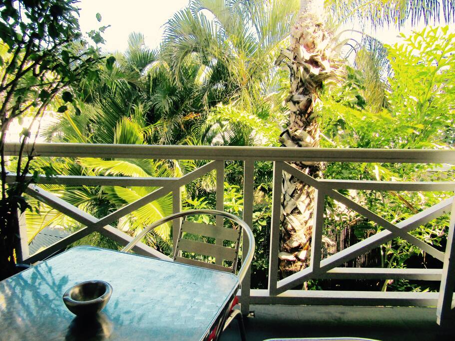 Le jardin depuis le balcon
The garden from the balcony