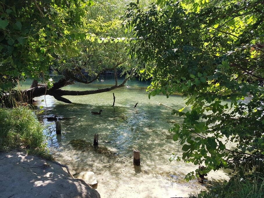 Accès privé direct à la Sorgue