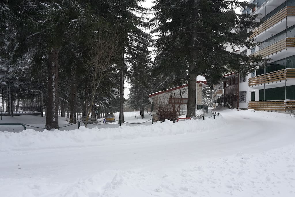 Entrata Residence