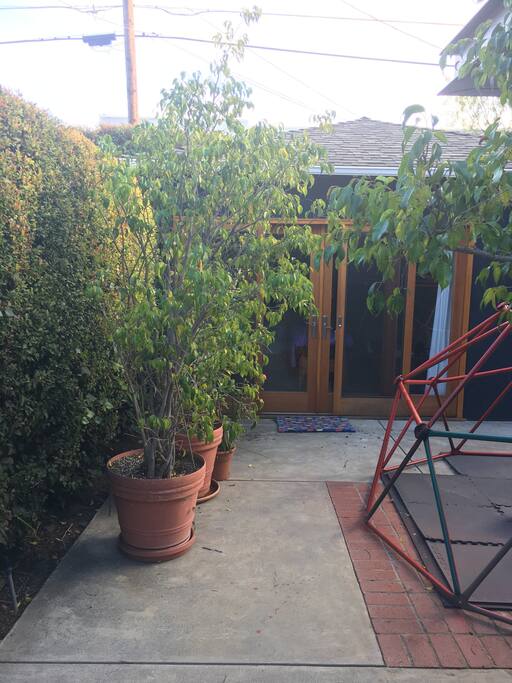 Separate entrance into the yard through the driveway