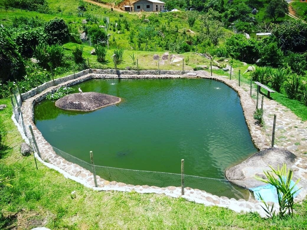A tranquil pond is surrounded by lush greenery, featuring smooth stones along the water's edge. The pond's surface reflects the surrounding landscape, with gentle slopes leading up to the hills in the background. Fencing is present to enhance safety and define the area.