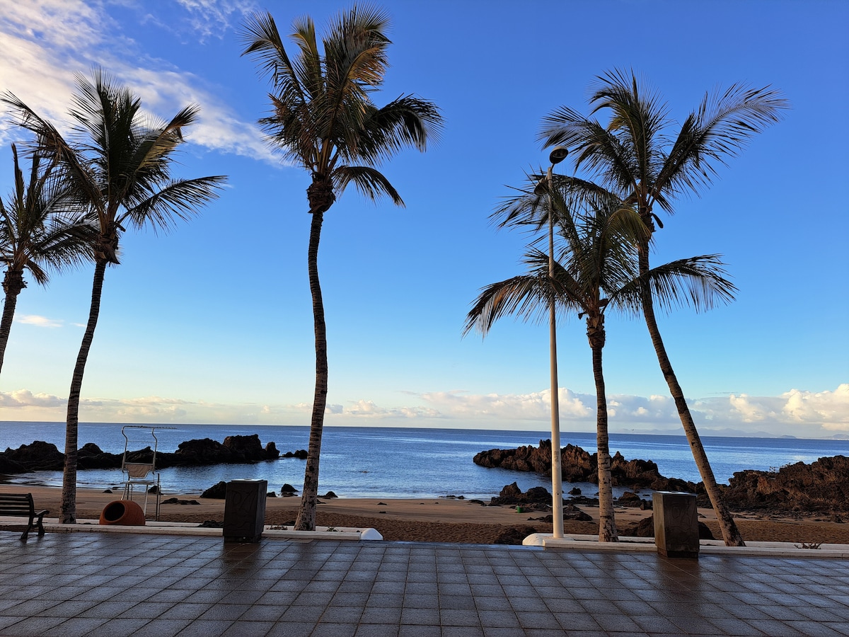 A view of the sea is framed by three tall palm trees, their fronds swaying gently. The calm water reflects a clear blue sky, with rocky formations visible in the distance. The shoreline is sandy, creating a peaceful coastal setting.