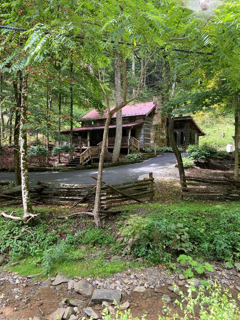 A rustic cabin emerges from a lush forest, showcasing a natural setting. The stone structure is complemented by a red metal roof and a welcoming porch. Surrounding greenery includes tall trees and native plants, creating a serene atmosphere near a gently flowing stream.