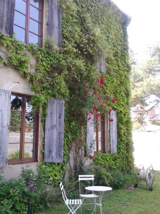 arrière de la maison