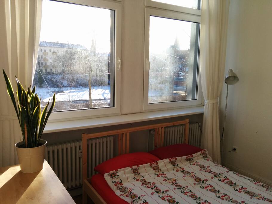 window view