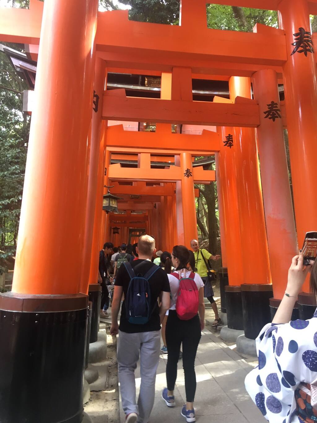 京都遊 千本鳥居 京都旅游攻略 尽在airbnb爱彼迎 京都遊 千本鳥居 京都旅游攻略 尽在airbnb爱彼迎