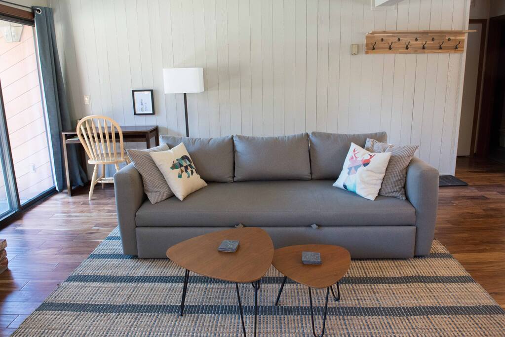 Pull out couch and desk
