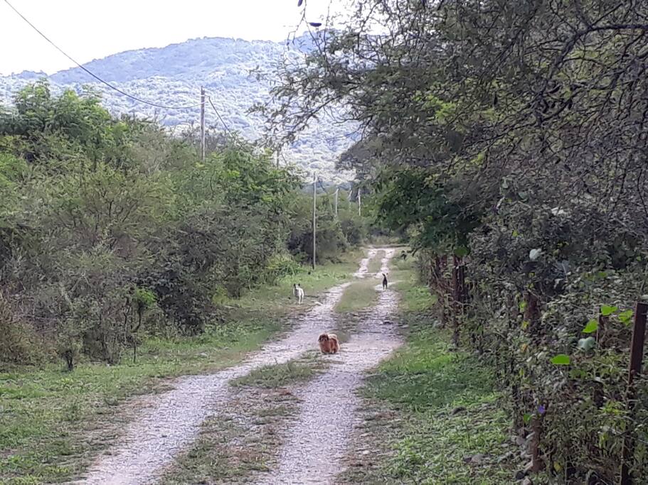 El acceso a 500mts de la ruta.