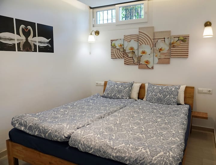 Главна спална соба со телевизор, клима уред, гардероба и сопствен апартман