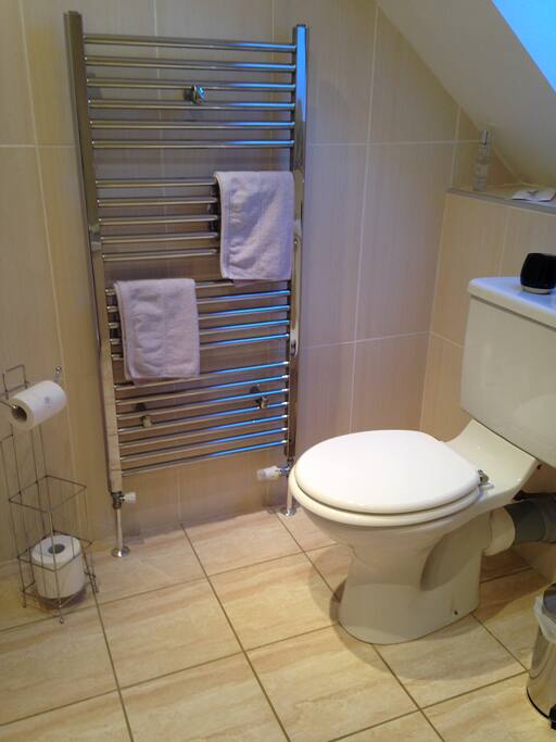 Luxury Bathroom with Power Shower
