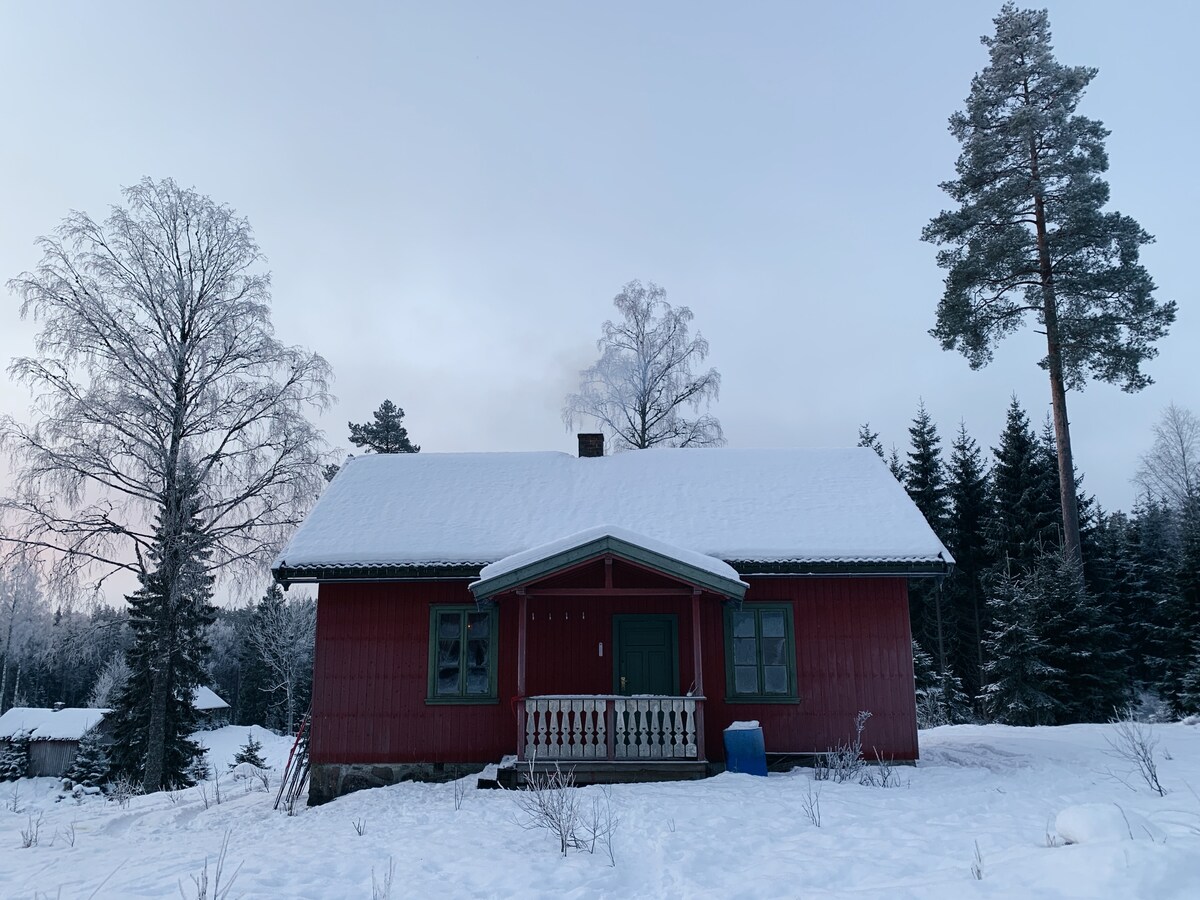 The cabin's striking red exterior contrasts with the surrounding snow-covered landscape. A welcoming porch with a white railing adds charm, while tall evergreen trees frame the scene, creating a serene winter atmosphere. The roof is blanketed in a thick layer of snow, enhancing the rustic appeal.
