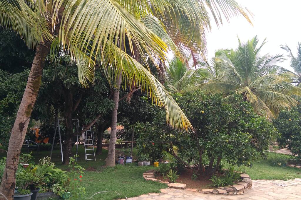 Jardim do sítio