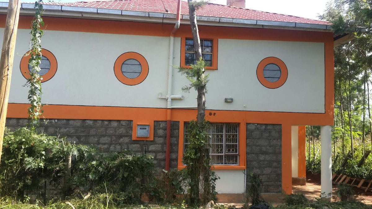 A charming structure features a combination of stone and vibrant orange accents. Circular windows are positioned symmetrically, providing a unique design element. Lush greenery surrounds the exterior, enhancing the connection to nature.