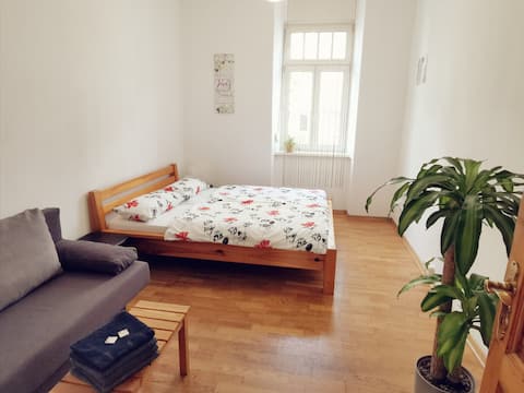 🌟Near central station, breakfast, parking, taxi🌟