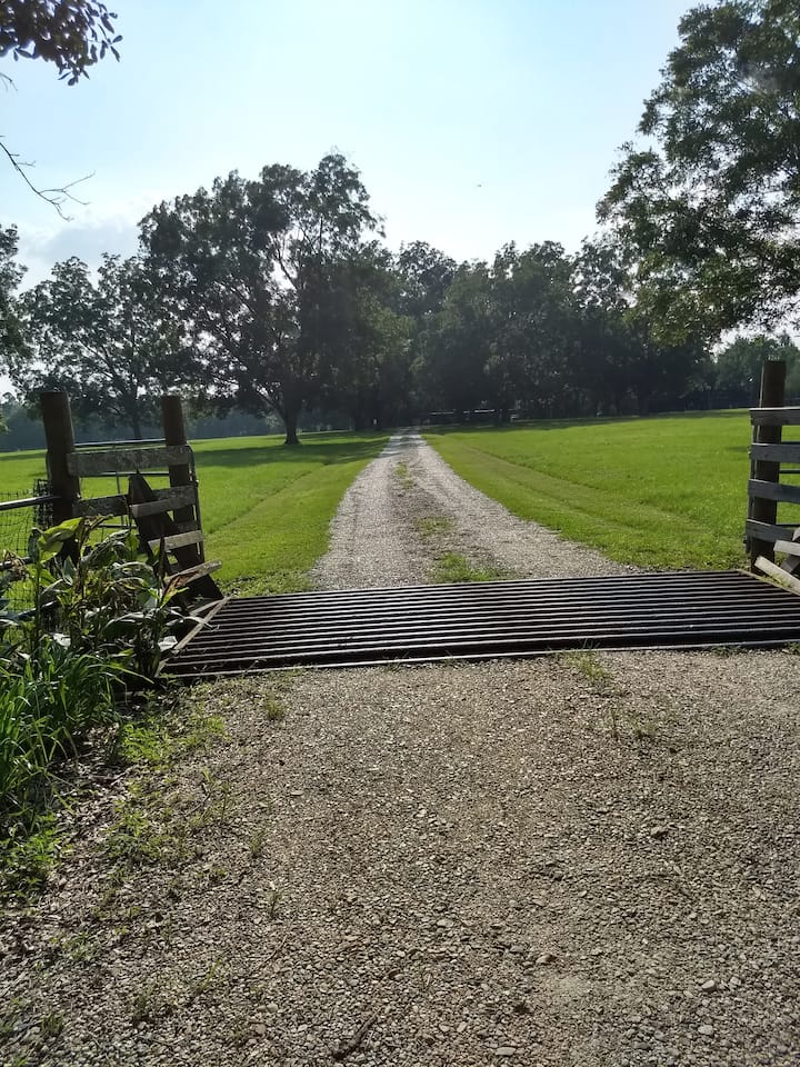 "Chickie's Roost" familyfriendly barn apartment Barns for Rent in
