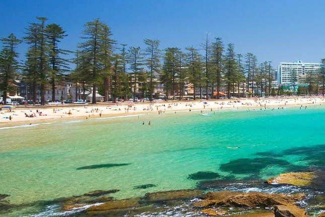 A wide sandy beach is bordered by tall trees, providing shade along the shoreline. The clear turquoise water reflects the blue sky, while beachgoers are seen enjoying the sun. Rocks can be observed in the foreground, leading to the water's edge.