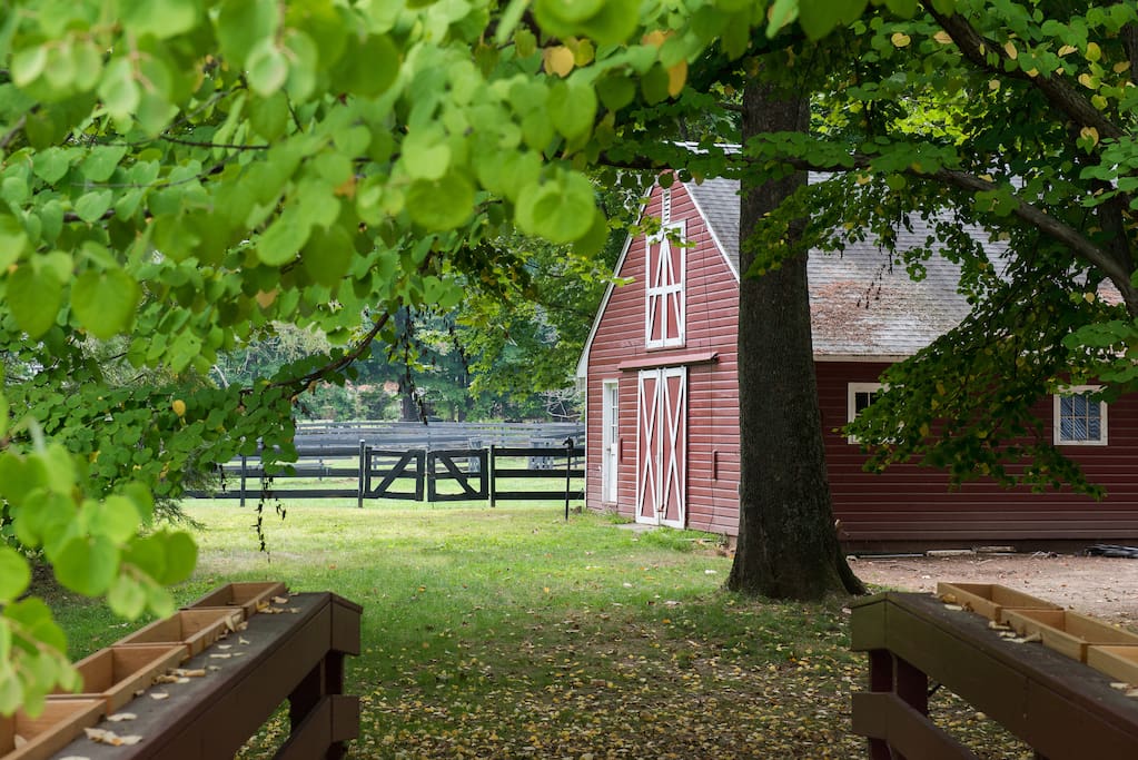 Stables and barns