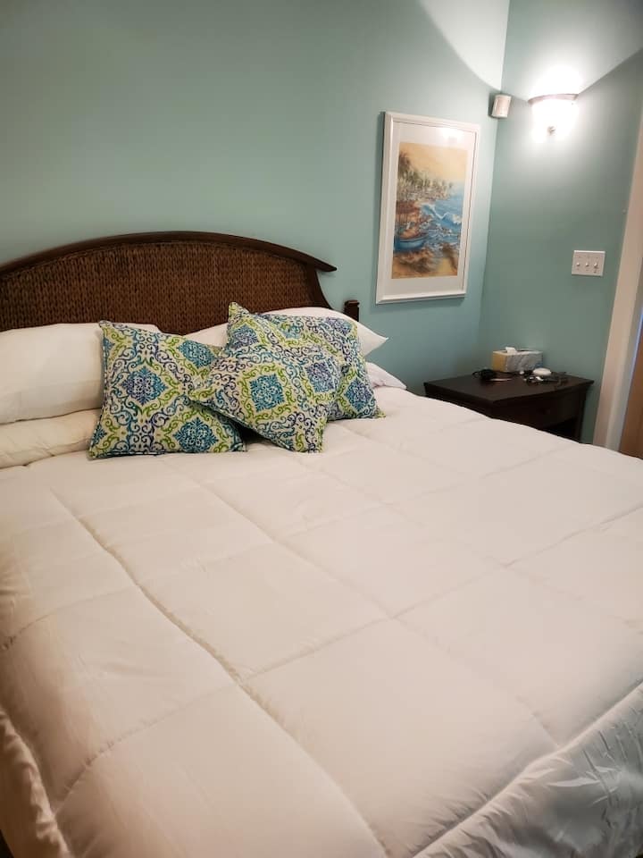 חדר השינה הראשי הוא מיטת קינג סייז עם מסגרת מיטה חשמלית מתכווננת.  יש חדר אמבטיה צמוד וטונות של אחסון.   יש דלת הזזה עם גישה למרפסת.  יש נופים מדהימים של הים. 